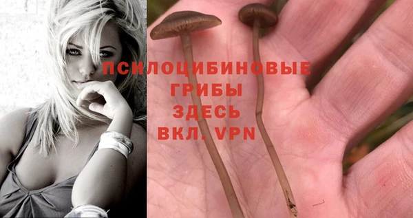 стафф Абинск