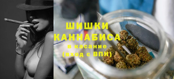 крисы Абаза