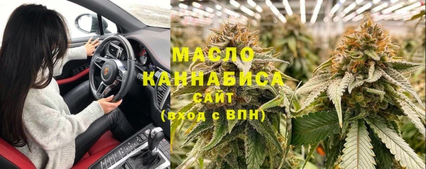 крисы Абаза