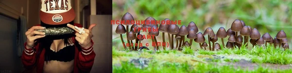 стафф Абинск