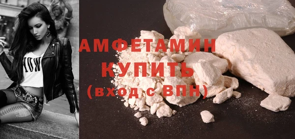 крисы Абаза
