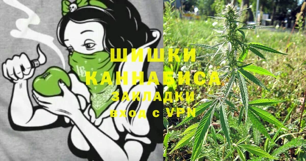 крисы Абаза