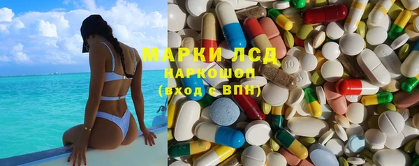 крисы Абаза